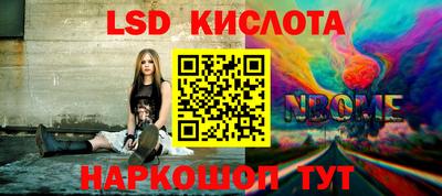 спиды Донской