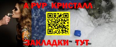 спиды Донской