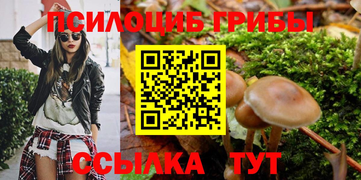 Псилоцибиновые грибы Psilocybe  Вход с VPN  Междуреченск 